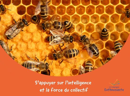 s'appuyer sur l'intelligence du collectif intelligence du collectif